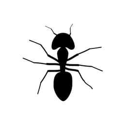 Commercial Pest Control